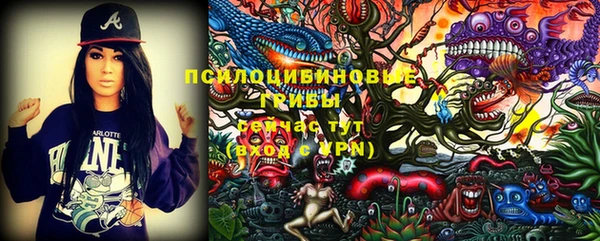 PSILOCYBIN Богородск