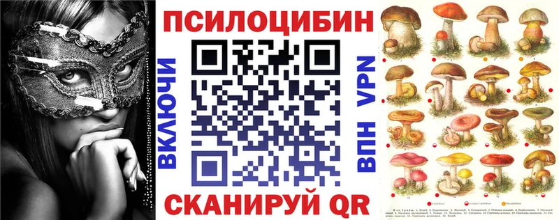 Галлюциногенные грибы Psilocybine cubensis  hydra вход  Кузнецк 