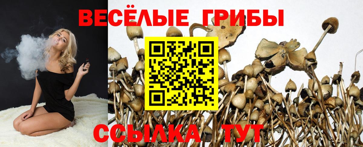 Псилоцибиновые грибы GOLDEN TEACHER  Вход с VPN  Кузнецк  Псилоцибиновые грибы прущие грибы 