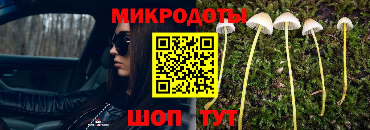Псилоцибиновые грибы MAGIC MUSHROOMS Кузнецк