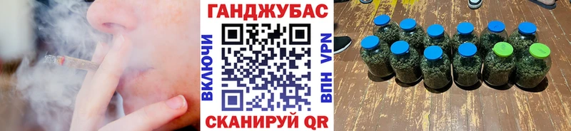 Бошки Шишки планчик Кузнецк